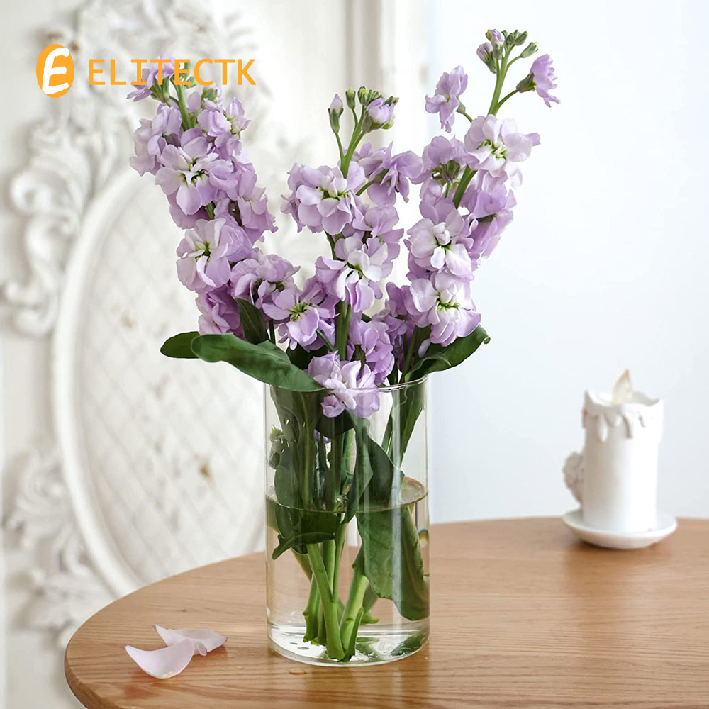 Glass Cylinder Vase Hurricane  - Centerpiece Vase Tall 评论和价格